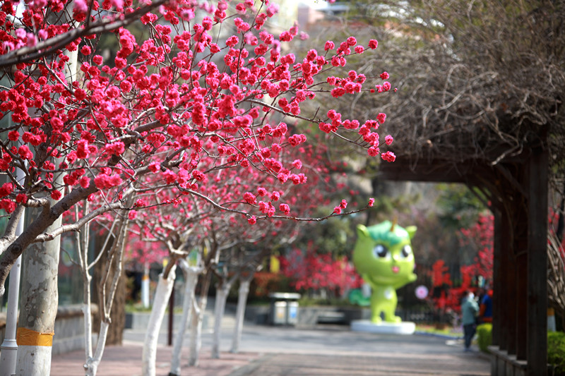花漾时光  桃花记忆 ——郑州市第十届桃花文化节在郑州市动物园开幕